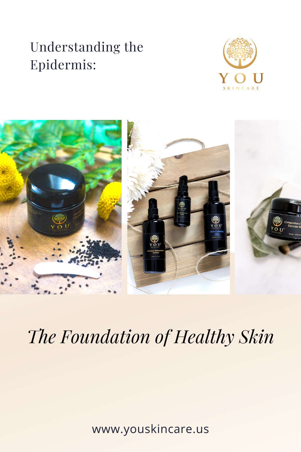 Understanding the Epidermis: The Foundation of Healthy Skin