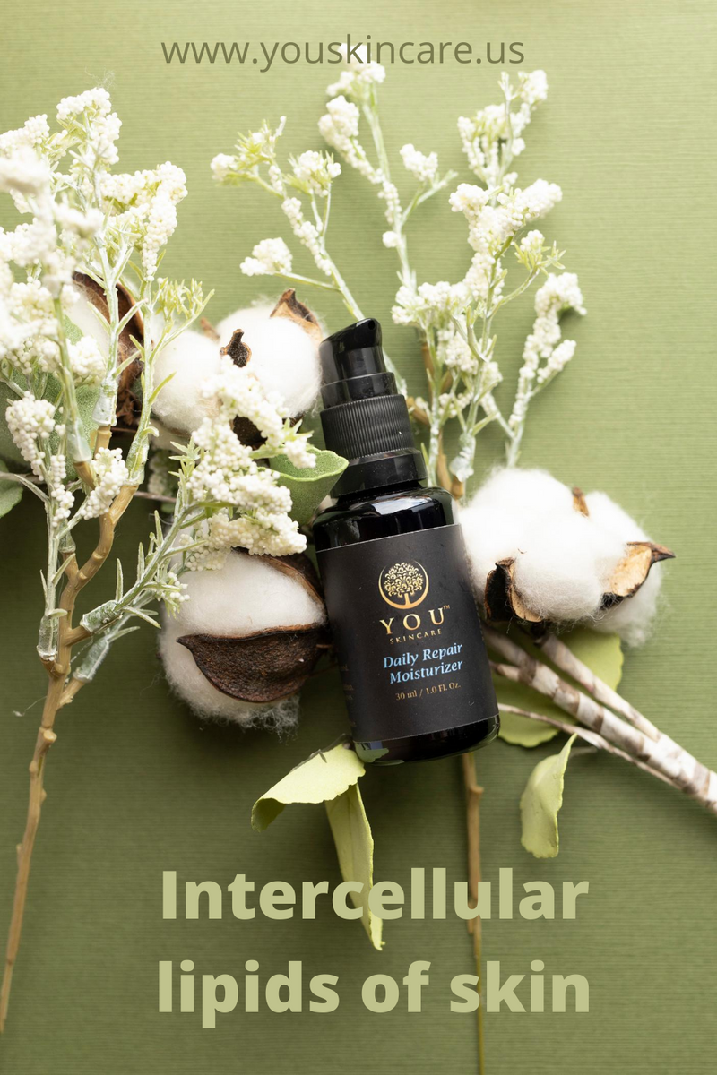 Intercellular lipids of skin YOU Skincare YOU Skincare LLC